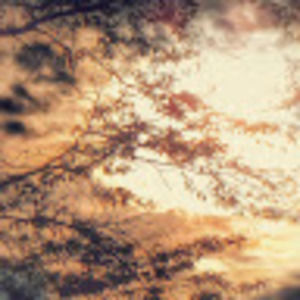 Meet your Posher, Mira